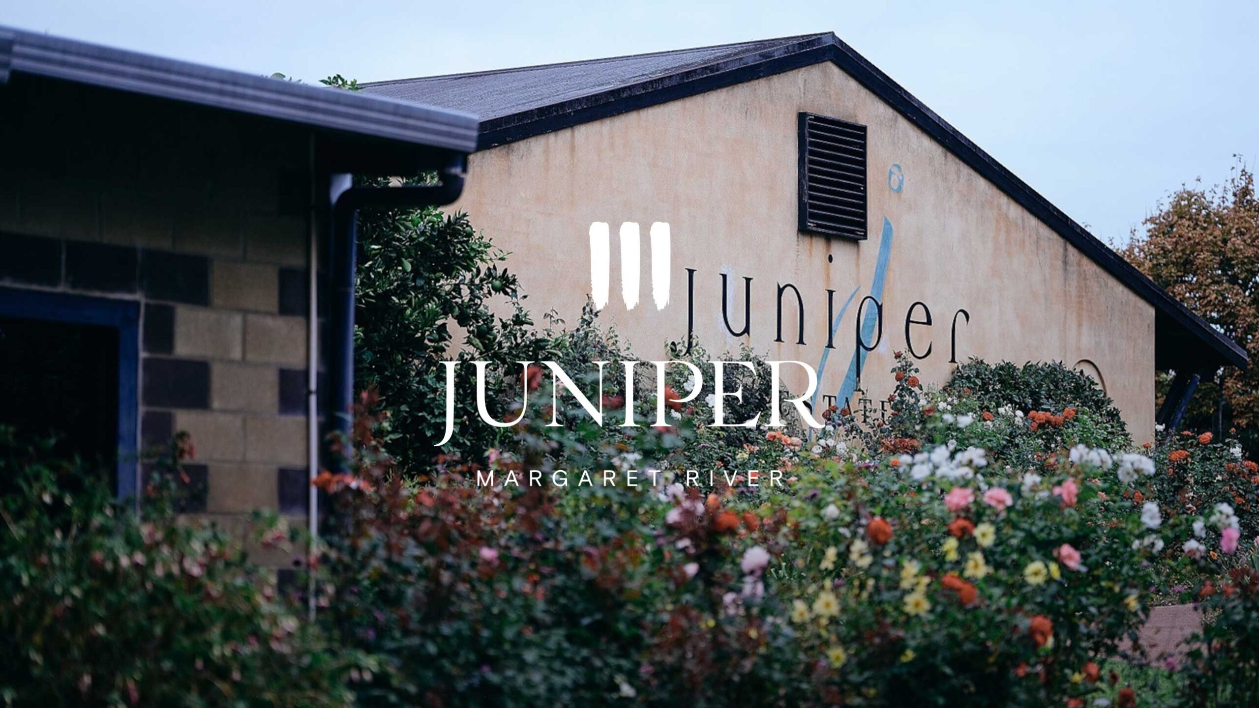 Juniper
